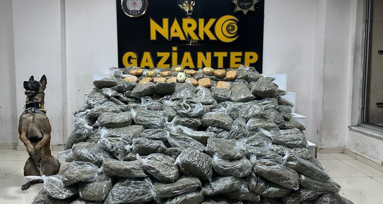 Gaziantepte 170 kilogram skunk ele geçirildi