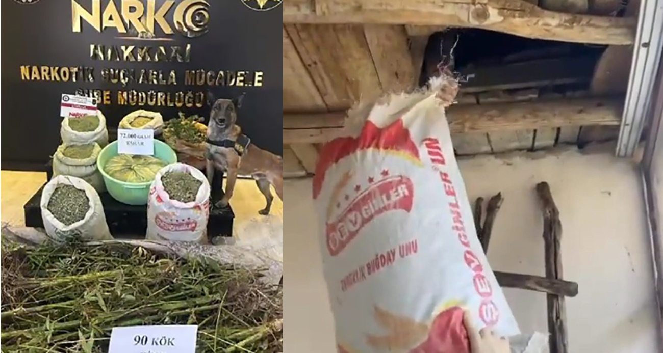 Yüksekovada 72 kilo esrar 90 kök kenevir ele geçirildi