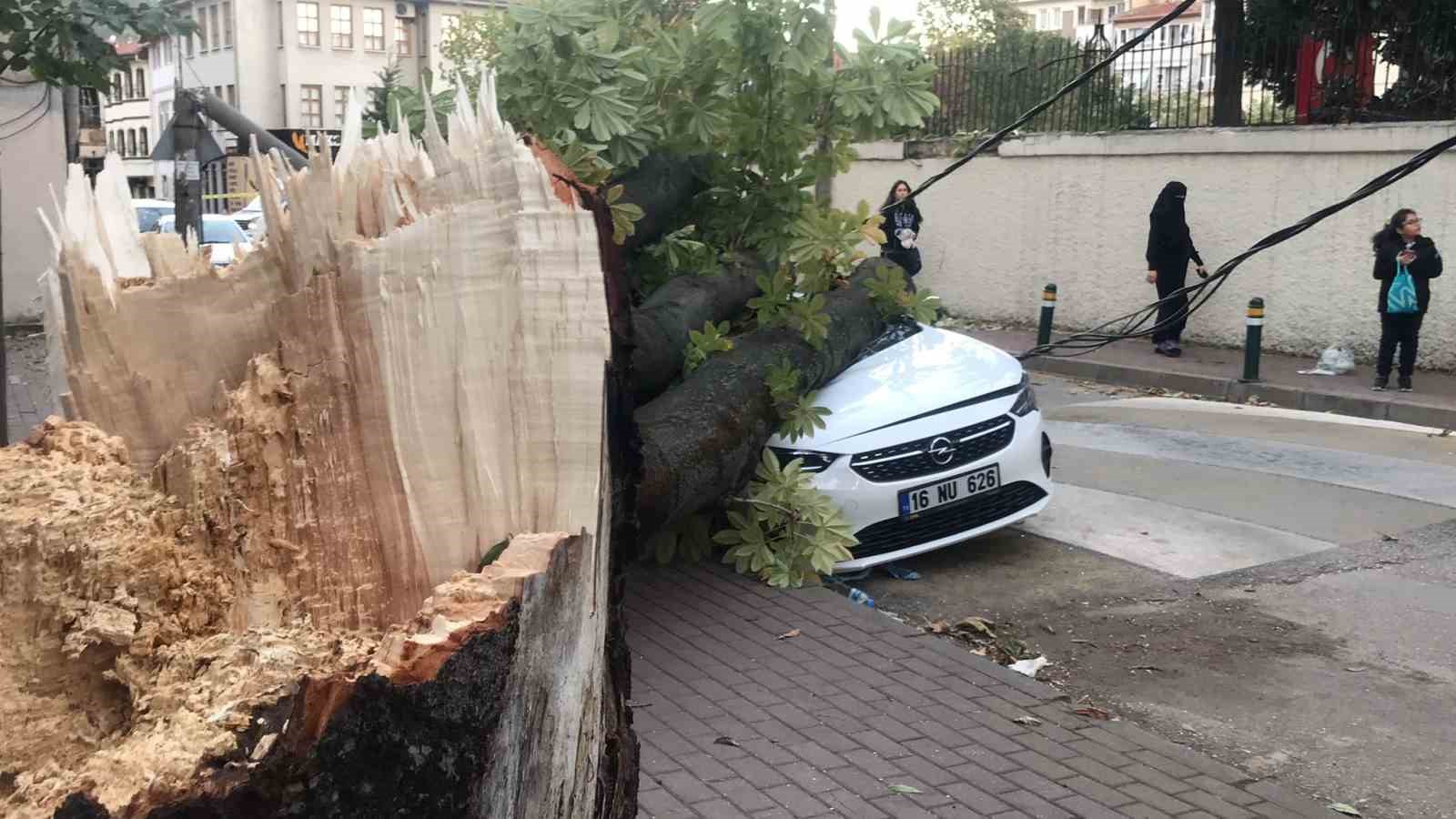 Bursada lodos hayatı felç etti