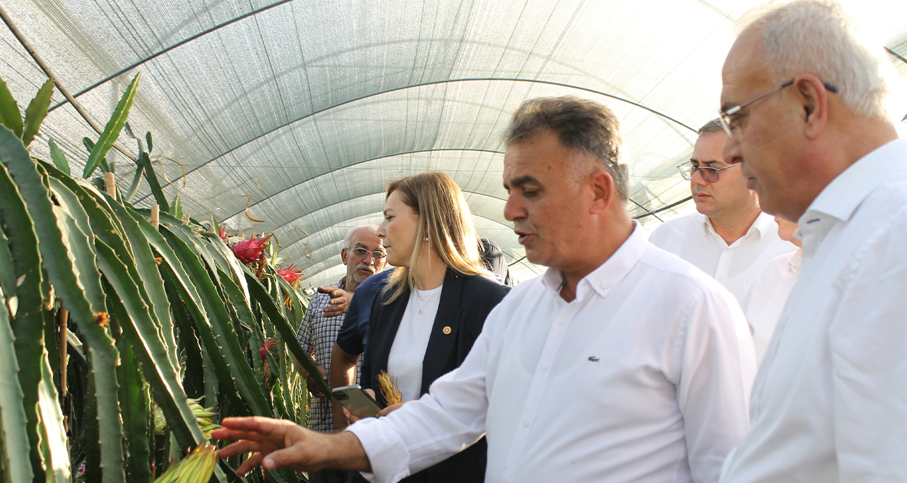 Narenciyenin merkezinde tropik ürün yetiştirdi şimdi taleplere yetişemiyor